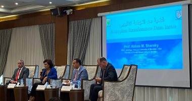 خبيرة بمركز الأهرام للدراسات السياسية: أدركنا أفريقيا فى عهد الرئيس السيسى