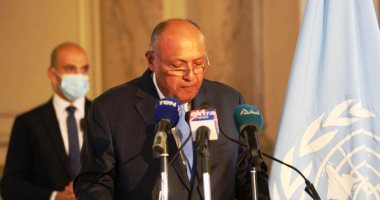 شكري: الأوروبيون يقدرون موقفنا ونتابع أطروحات الاتحاد الإفريقي حول سد النهضة