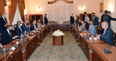 وزير الخارجية: هناك دعم عربي لمصر في موقفها بقضية سد النهضة