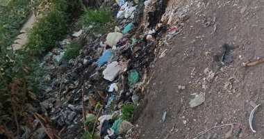 أهالى عزبة أم الشوك بالزقازيق يشكون انتشار القمامة بالشارع.. والمحافظة ترد