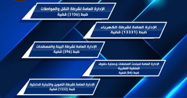 الأمن الاقتصادي يضبط 13 ألف قضية كهرباء و6 أموال عامة.. إنفوجراف