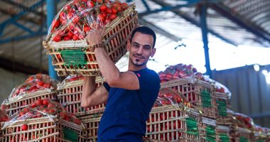 مجنونة يا أوطة.. عروس يا بدنجان.. خيرات أرض مصر الطيبة