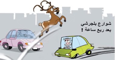 كاريكاتير سعودي يحذر من القيادة المتهورة فى "الباحة" بسبب الوعول الجبلية