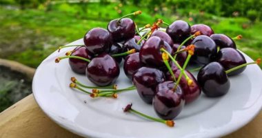 خبيرة تغذية: فاكهة الكرز تحسن النوم وتعزز عملية الهضم 