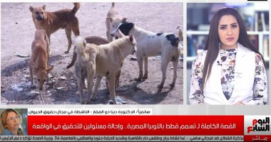 كيف نتعامل مع الحيوانات الضالة بعد واقعة تسمم قطط بدار الأوبرا.. فيديو