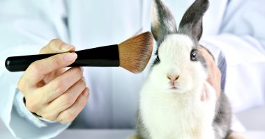 مكياج من غير دم.. كيف تختبر علامات التجميل مستحضراتها دون إيذاء الحيوان؟