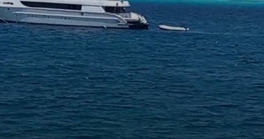 من 300 لـ1000 جنيه.. أجمل رحلة فى مصايف مصر هتستمتع بجمال جزيرة الجفتون
