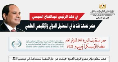 التعليم العالى تكشف حصاد تقدم مصر فى التمثيل الدولى والإقليمى خلال 7 سنوات