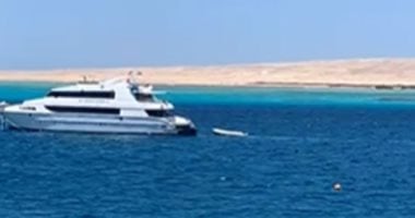 سحر الطبيعة الخلابة والمياه الفيروزية فى جزيرة الجفتون بالبحر الأحمر.. رحلات تبدأ من 300 لـ 1000 جنيه للاستمتاع بالسنوركلنج ومشاهدة الكائنات البحرية.. وتناول الغداء على متن لانش الأكثر طلبا.. فيديو