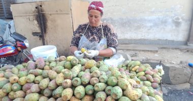 "ست بـ 100 راجل".. "أم هانى" 30 سنة عمل فى بيع التين الشوكى ببنها