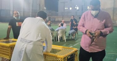 سباق الحمام الزاجل يعود من جديد فى الزقازيق بعد توقف 15 سنة (فيديو)