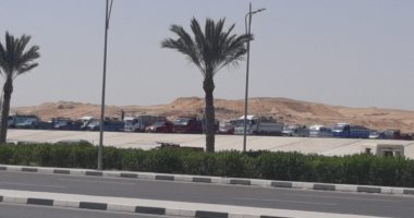 وصول كتب الناشرين المشاركين فى معرض القاهرة للكتاب لمركز المعارض