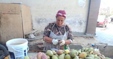"ست بـ100 راجل".. "أم هانى" 30 سنة عمل فى بيع التين الشوكى ببنها ولسه بتعافر.. وتؤكد: الزبون بيحب الحاجة الطازة والنظيفة والحمد لله حاجتى كلها حلوة.. وبوصل طلبات دليفرى للمنازل.. وبأشترى بضاعتى بنفسى من المزارع