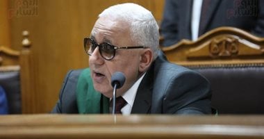 تأجيل محاكمة متهم بالانضمام لجماعة إرهابية لجلسة 2 أغسطس