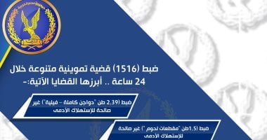 شرطة التموين تضبط أطنان أغذية فاسدة فى حملات رقابية.. إنفوجراف