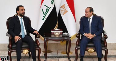 الرئيس السيسي يؤكد موقف مصر الداعم لوحدة العراق والحرص على تعزيز دوره العربى.. صور