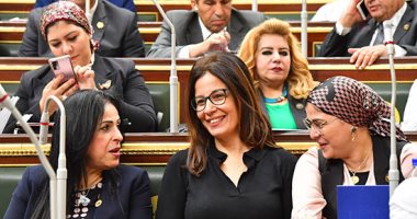 مجلس النواب يوافق نهائيا على قانون صندوق مواجهة الطوارئ الطبية