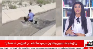 الإنسانية فوق كل شىء.. رجال شرطة صينيون ينقذون مجموعة أغنام من الغرق