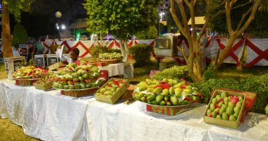غدا.. انطلاق مهرجان مانجو أسوان للوصول إلى 50 مليون شجرة