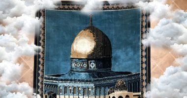 "معاذ" بكلية المريض كفر الشيخ يشارك صحافة المواطن عددا من الصور