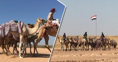 الجمال المصرية فى عيد.. افتتاح أحدث مضمار لسباقات الهجن بالساحل الشمالى بمدينة العلمين.. محافظات مصر تتنافس فى أكبر سباق لـ"سفن الصحراء".. والميدان يستقبل 500 جمل وتدريبهم بالمضمار الجديد.. صور