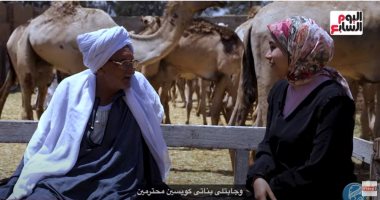 الحاج عبداللاه "عمدة الحب" في سوق الجمال: عايش على ذكريات زوجتى بعد وفاتها ورافض الزواج.. ست أصيلة شالتنى على الحلوة والمرة.. أنا صعيدى مجبش ورد بس كلمتى واحدة وأمنيتى حسن الختام.. حلقة جديدة من "حكيم زمانه"