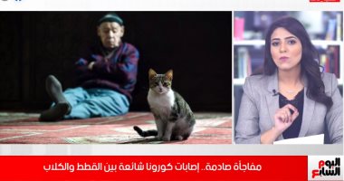 مفاجأة قاسية.. فيروس كورونا ينتقل بين القطط والكلاب "فيديو"