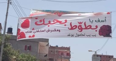 "آسف يا بطوط بحبك".. لافتة تثير الجدل بكفر الشيخ والأهالى ينزعونها.. صور