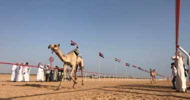 ختام مهرجان سباق الهجن بالعلمين 