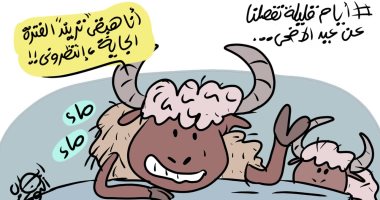 اهتمام الناس بخروف العيد في كاريكاتير اليوم السابع