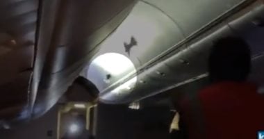 مطاردة طاقم طائرة لعصافير تعطل رحلة جوية أمريكية لمدة 25 دقيقة.. فيديو