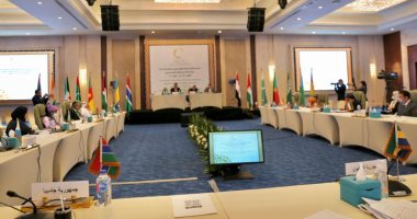اجتماع لمنظمة تنمية المرأة يؤكد التزام مصر بتمكين المرأة بدول العالم الإسلامى