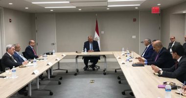 وزير الخارجية يلتقى اللجنة العربية المعنية بمتابعة ملف سد النهضة الإثيوبى