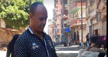سوق الخرفان بالإسكندرية.. الكيلو بـ70 جنيها و10 مواصفات للأضحية الصحية "فيديو"