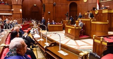 مجلس الشيوخ يوافق على اختصاص "المالية" بتحديد ممثليها فى الجهات الإدارية