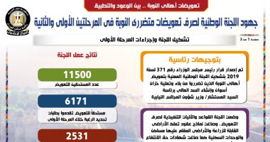 جهود اللجنة الوطنية لصرف تعويضات متضررى النوبة فى المرحلتين.. إنفوجراف