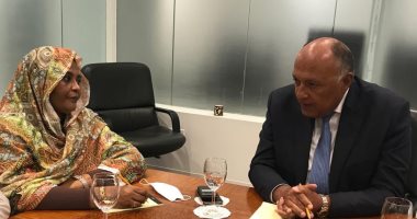 تحركات مصرية سودانية فى نيويورك لعرض أزمة سد النهضة.. مجلس الأمن يعقد جلسة الخميس بمشاركة وزيرى الخارجية لمصر والسودان لبحث تعنت إثيوبيا.. القاهرة والخرطوم يرفضان الملء الثانى والأخير يدعو للضغط على أديس أبابا