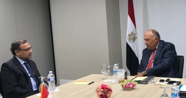 وزير الخارجية يعرض على مندوب الهند لدى الأمم المتحدة موقف مصر من سد النهضة