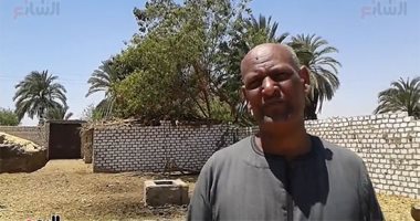 بدأ مشروعه بـ50 ألف جنيه.. قصة نجاح صاحب مزرعة فى تسمين العجول بأسوان "فيديو"