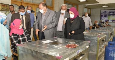 محافظ أسيوط يوزع مشروعات ويسلم 10 أفران وماكينات خياطة لذوات الهمم.. صور