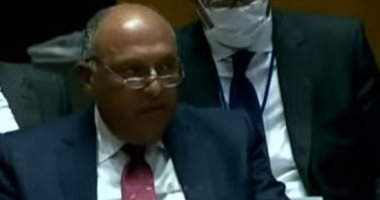 شكرى: مصر لا تدخر وسعا للتنسيق مع الدول الشقيقة لتحقيق ما فيه صالح شعب لبنان