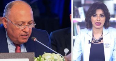 أبرز تصريحات سامح شكرى أمام مجلس الأمن لكشف تعنت إثيوبيا فى قضية السد.. فيديو