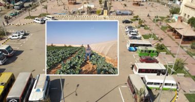 التنمية تمحو آثار الإرهاب على أرض سيناء.. إنشاء محاور جديدة بالعريش.. التوسع فى عمارات مدينة رفح الجديدة.. إقامة محور زراعى جديد بوسط سيناء على مساحة 271 ألف فدان.. خدمات جديدة لأسر الشهداء والمصابين المدنيين