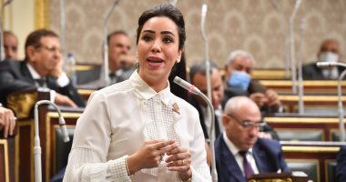 نائبة بالتنسيقية تعلن موافقتها على تعديلات قانون مشاركة القطاع الخاص بمشروعات المرافق العامة