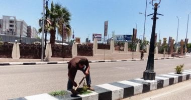 "شجرة جديدة = حياة جديدة".. مبادرة يطلقها حى شرق فى سوهاج.. صور