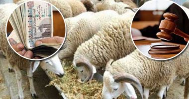 مع اقتراب عيد الأضحى.. كيفية مواجهة مكالمات النصب باسم "الجمعيات الخيرية" لجمع مبالغ الأضاحى.. المصريون يتعاطفون مع الحالات الإنسانية باعتباره "شعب متدين بطبعه".. العقوبة تصل للحبس 5 سنوات وغرامة مليون جنيه