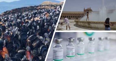 باختصار.. أهم الأخبار العالمية والعربية حتى الـ12 ظهرا.. دولة المغرب تعلن الأربعاء 21 يوليو أول أيام عيد الأضحى.. سلسلة انفجارات غامضة تهز إيران.. درجة الحرارة تتسبب فى نفوق بلح البحر والمحار على شواطئ كندا