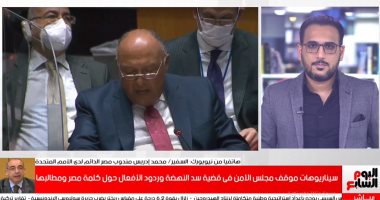 مندوب مصر بالأمم المتحدة لتلفزيون اليوم السابع: لم تكن هناك رغبة بمجلس الأمن لمناقشة قضية السد