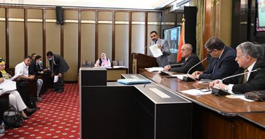 "صحة النواب" تناقش خطة عملها.. وتؤكد ضرورة تنفيذ توجيهات القيادة السياسية 