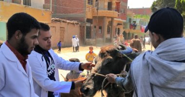 جامعة سوهاج تطلق قوافل بيطرية لقريتى الخنانسة وإقصاص